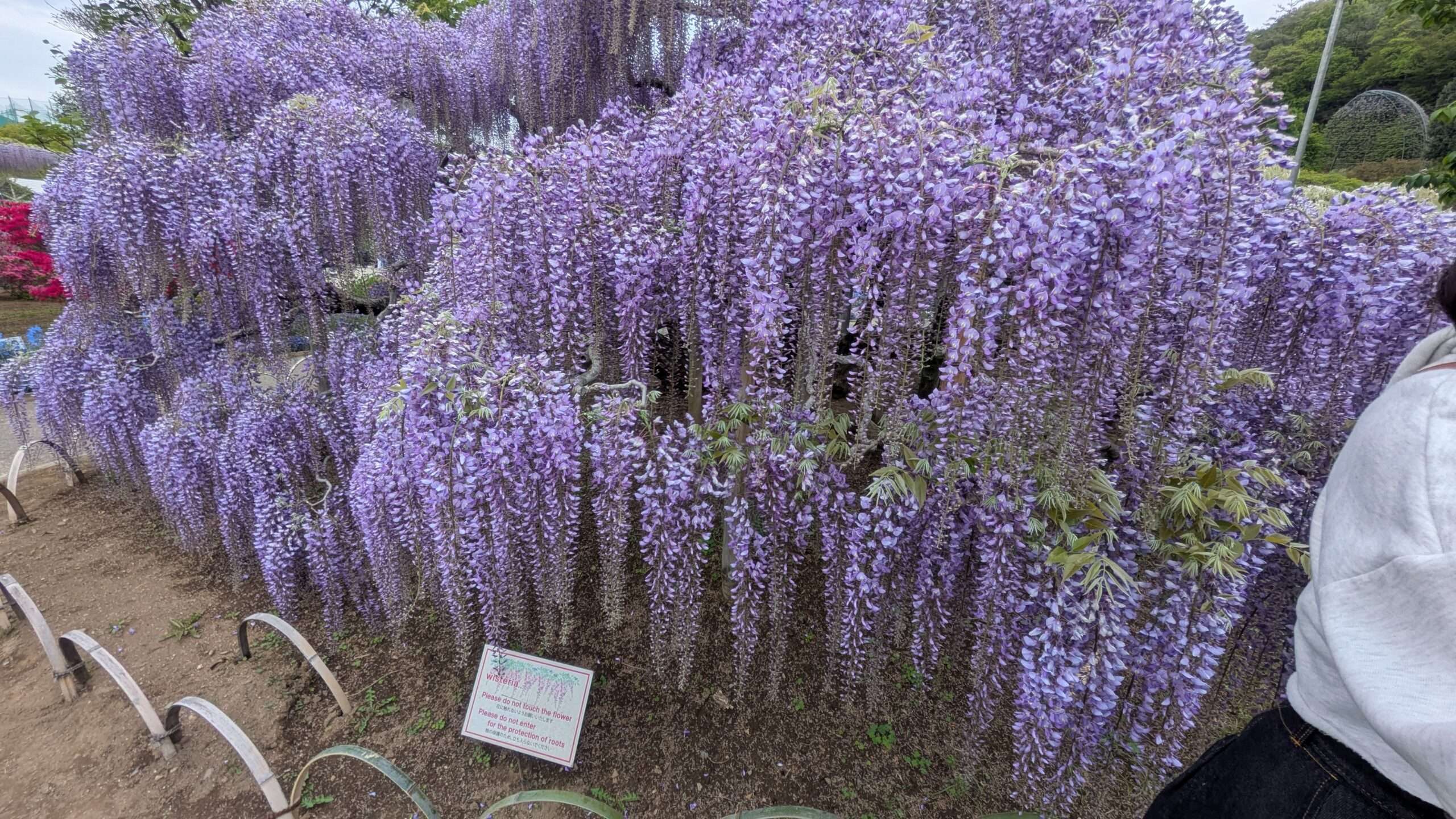 園内の風景