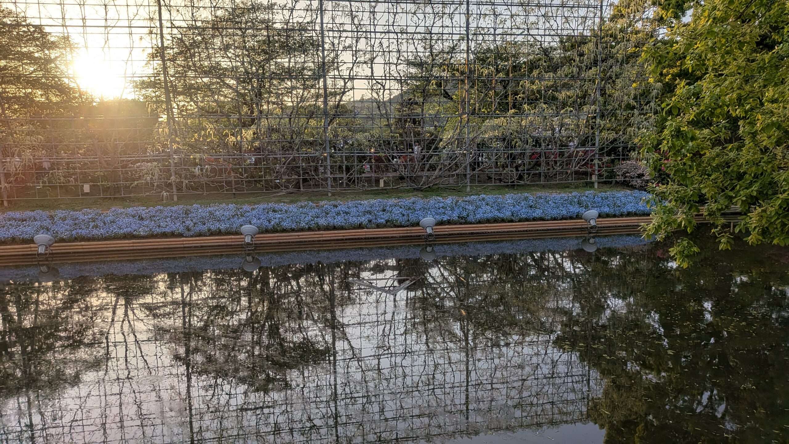 暮れ行く園内